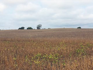 Property photo 7 - FARMLAND AUCTION - 76.15+/- ACRES IN 2 TRACTS IN RANDOLPH COUNTY, INDIANA